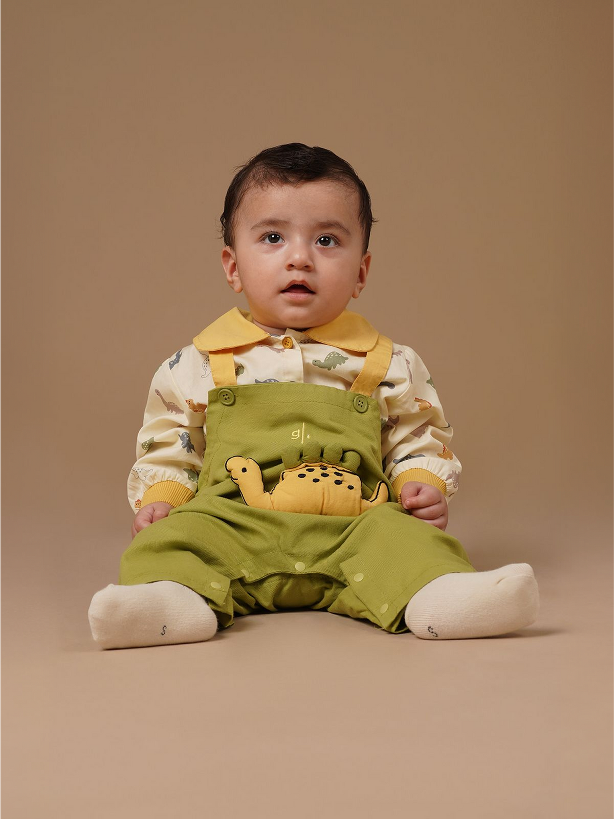 #color_olive / mustard yellow